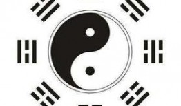 体育圈八卦 v1小说,揭秘v1小说背后的八卦秘闻